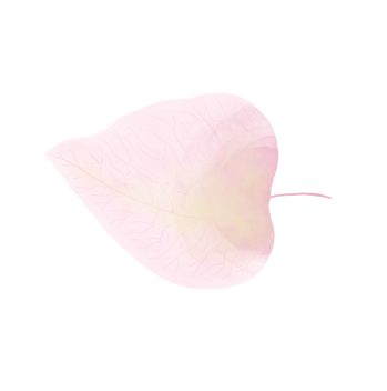 Illustration de feuille